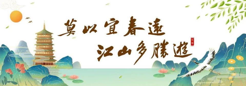 我新的奇思妙想