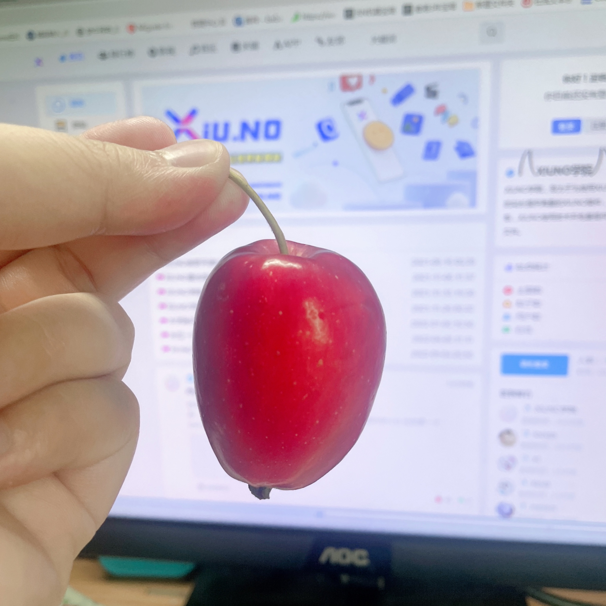你是我的 小呀小苹果