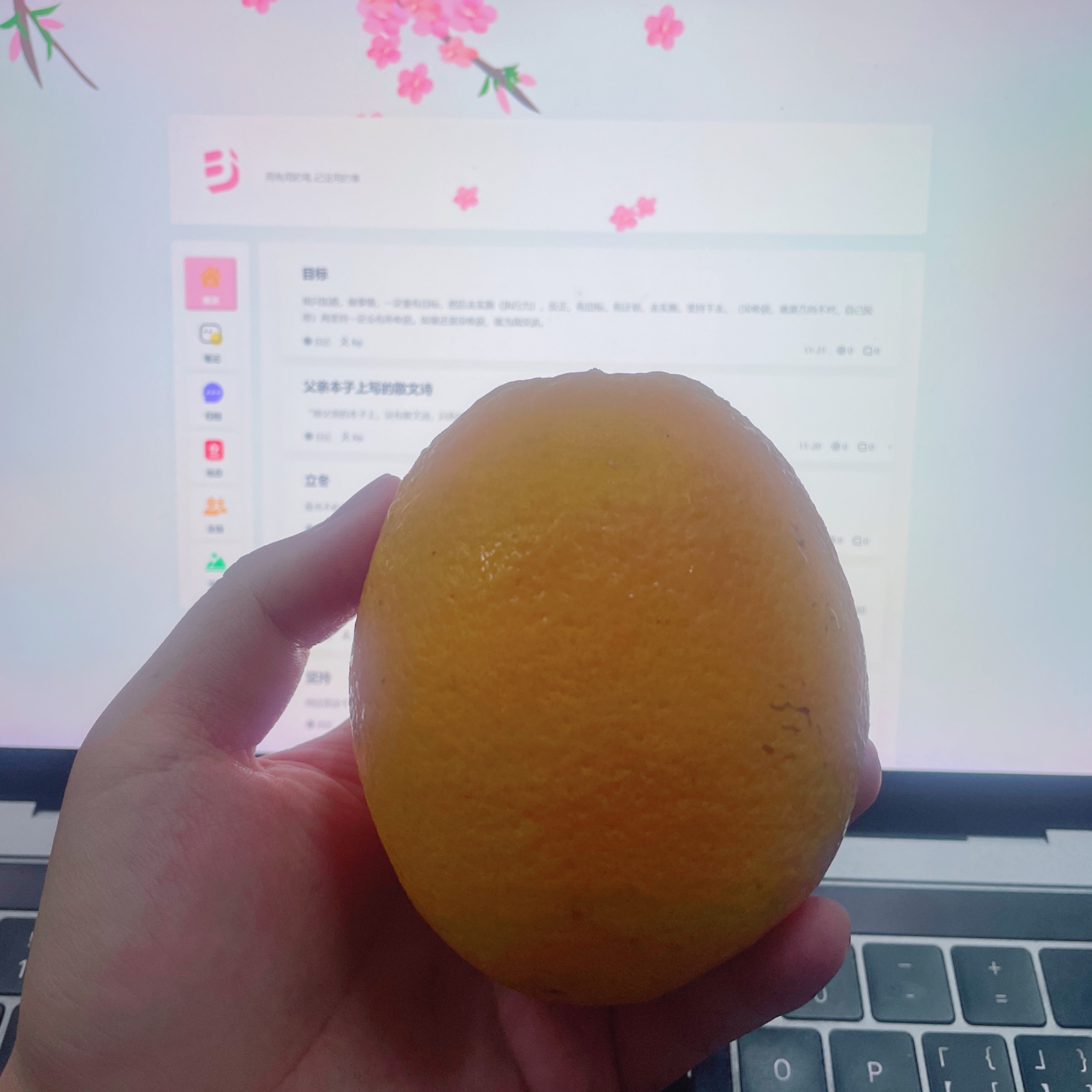 赣南脐橙确实不错、同事送的 晚上再吃一个！