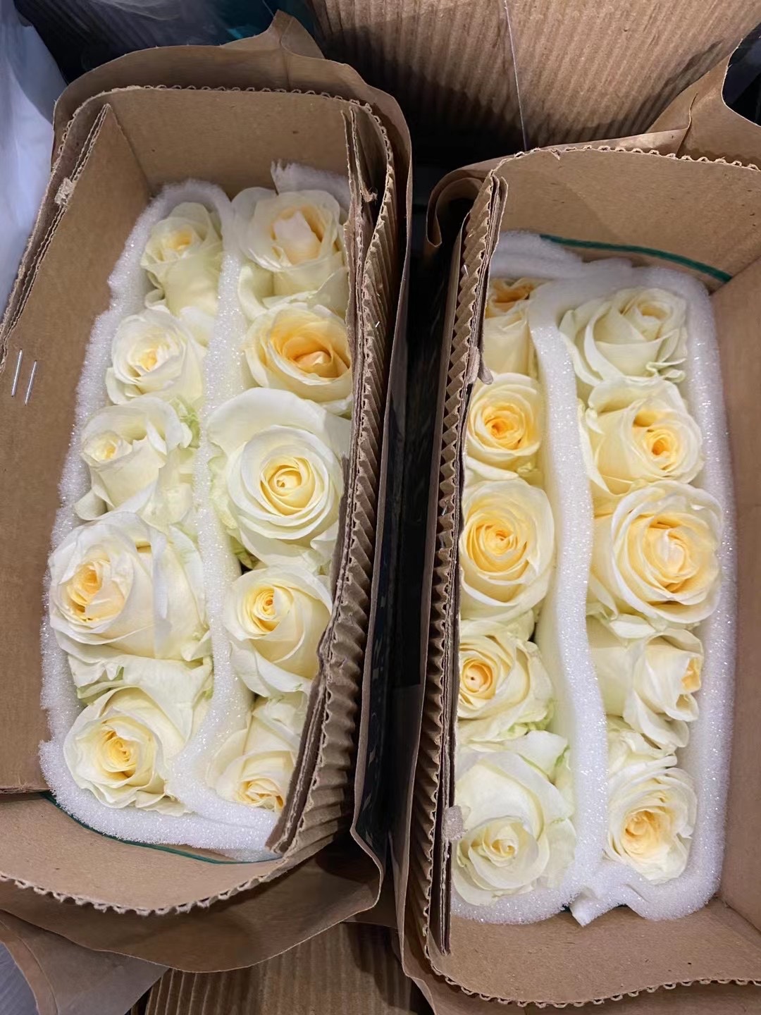 我的卖玫瑰的网站