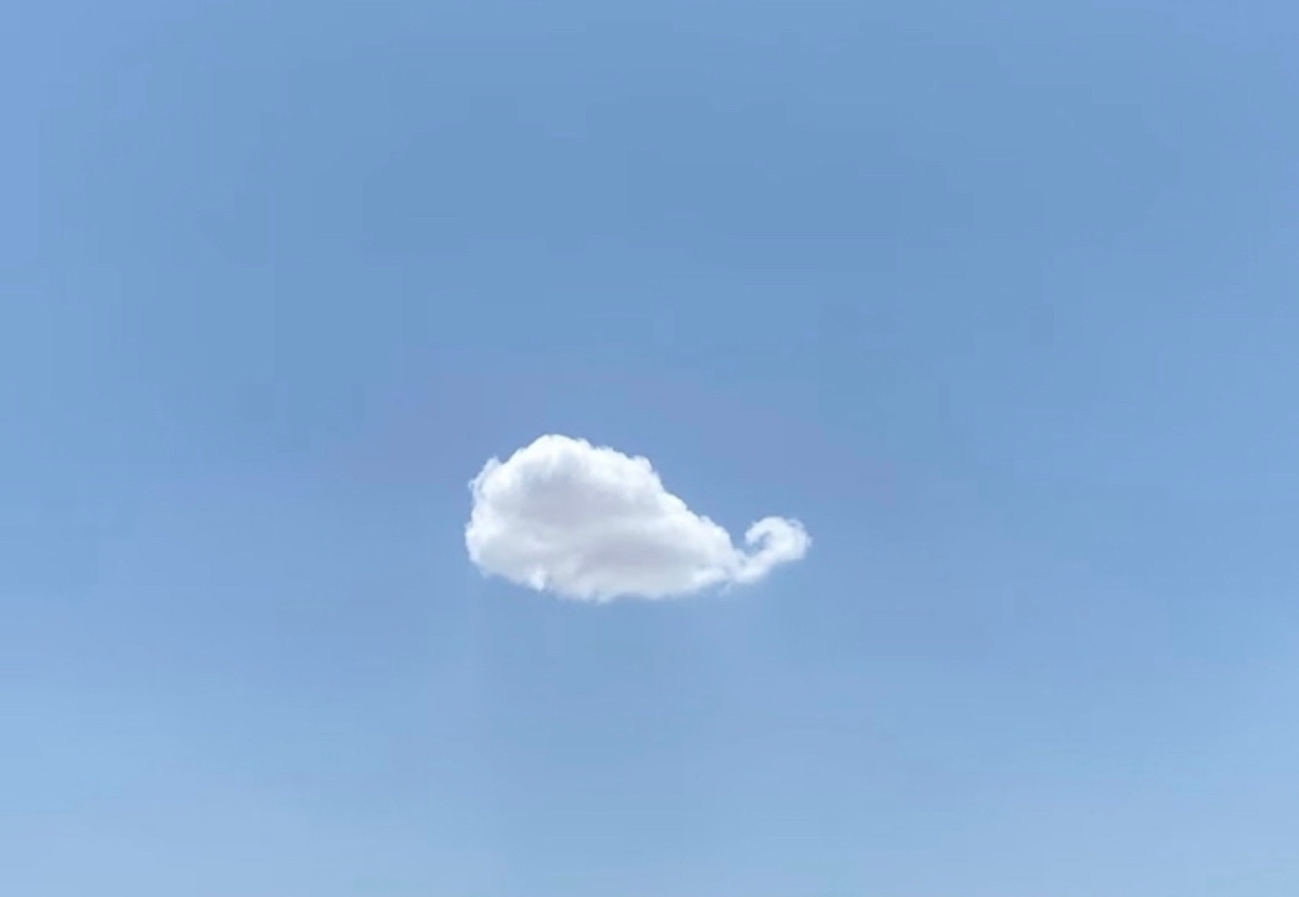 有没有做鲸云的，logo帮他拍好了