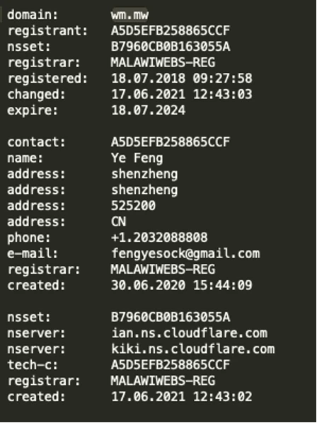 ⚠️注意：“域名大盗”出现，小心你们的域名了！