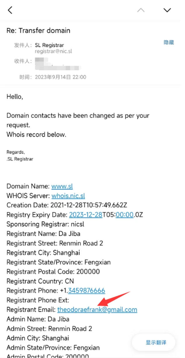 ⚠️注意：“域名大盗”出现，小心你们的域名了！