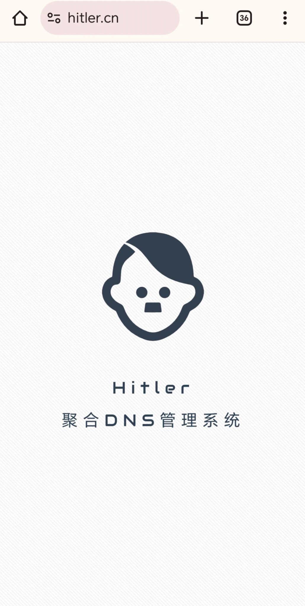 彩虹dns管理系统hitler.cn上线