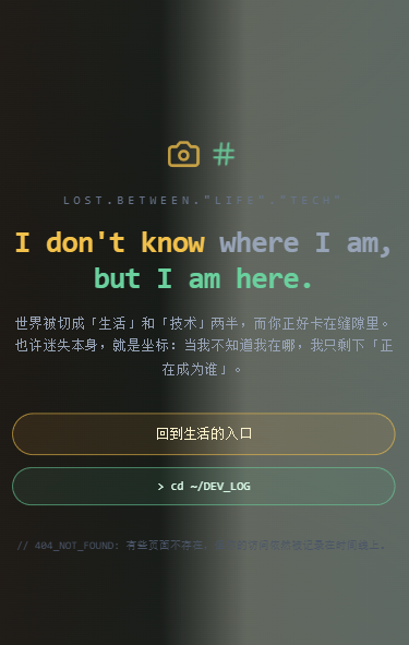 404页面