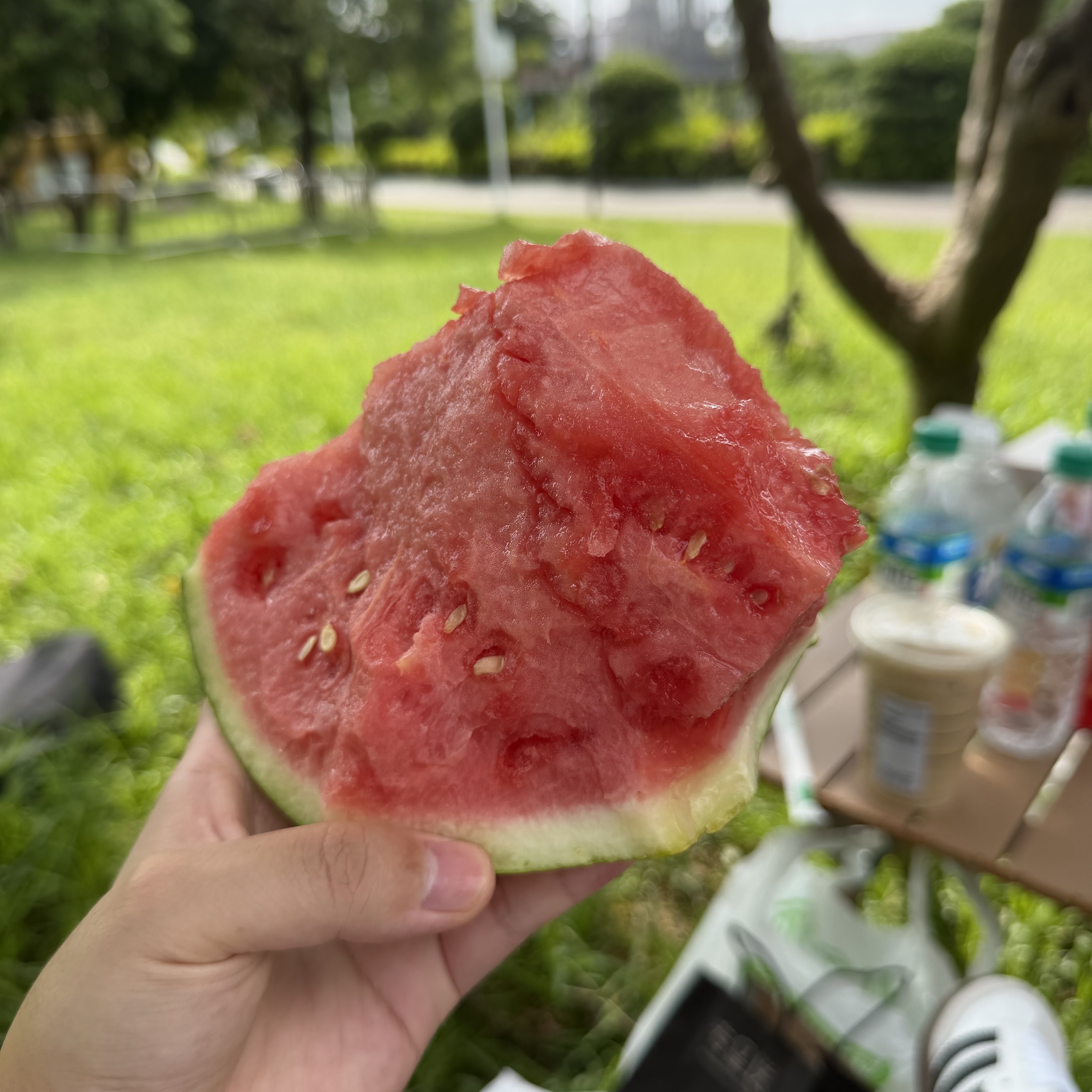 买这设备四个月了 今天第一次用、结果被各种小虫子咬