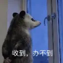 ououo